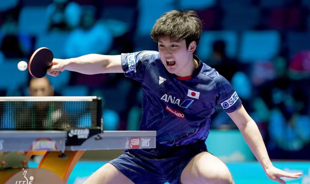 日本乒乓球队翻盘比利时乒乓球队,张本智和关键制胜 日本乒乓球队翻盘比利时乒乓球队,张本智和关键制胜