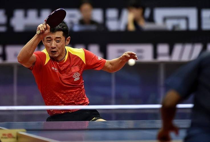 奥地利队逆转波兰队，张继科高光表现的简单介绍