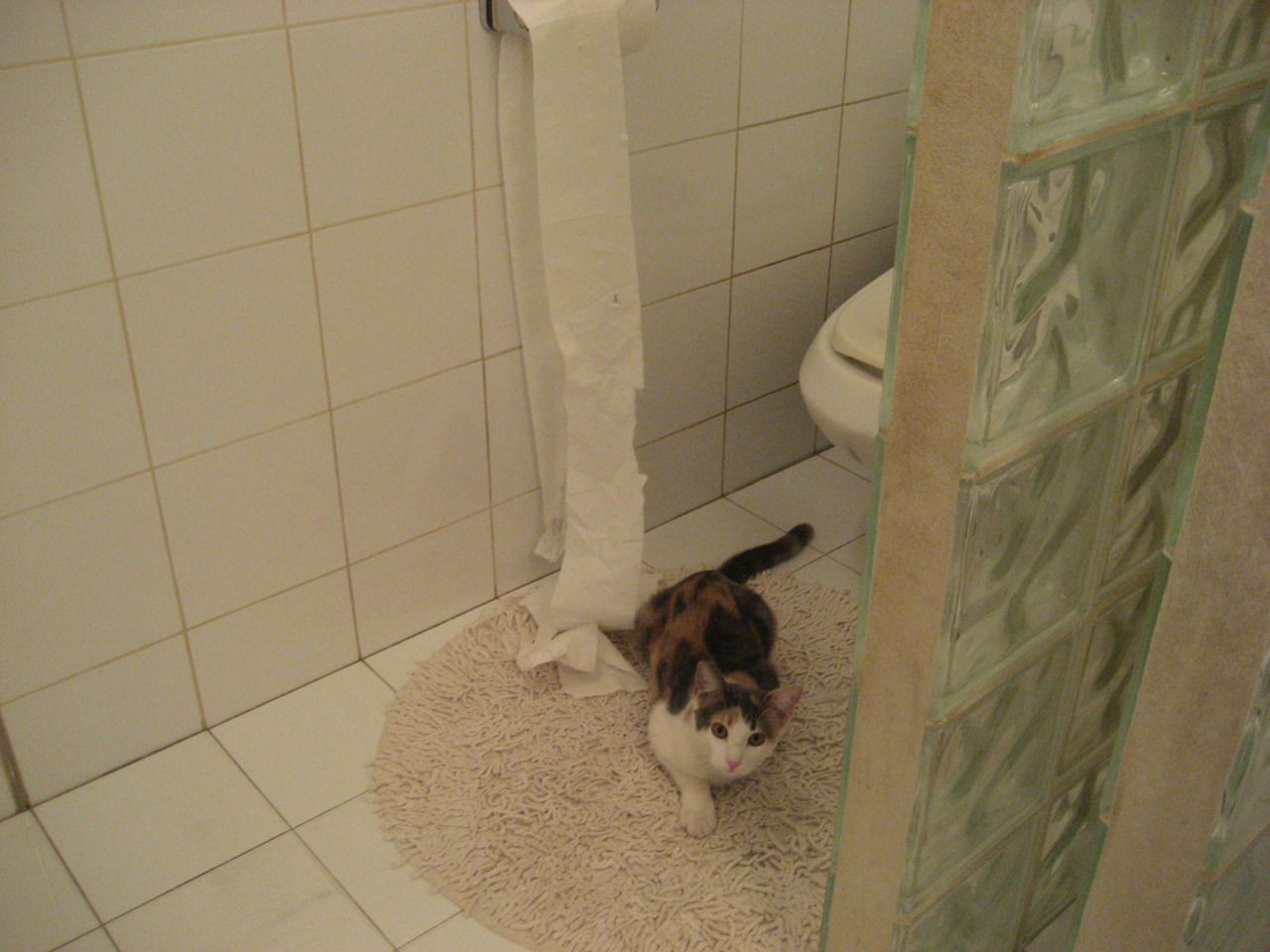 一夫当关，万夫莫开，拉亚神级扑救点燃圣西罗，AC米兰横扫卡塔尔军团