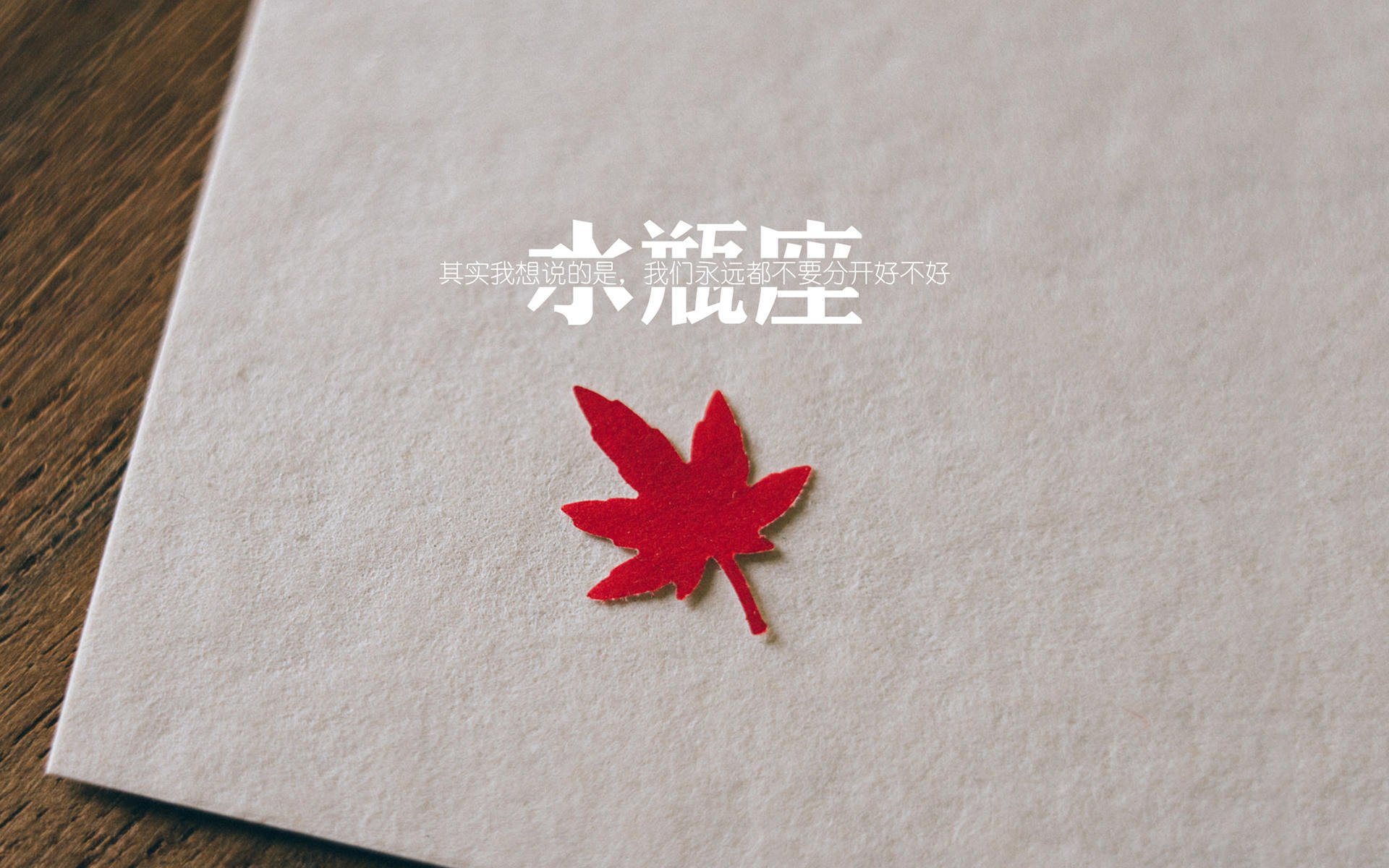 当2026世界杯的硝烟提前弥漫,森林狼加时鏖战黄蜂,篮球场上的国家德比