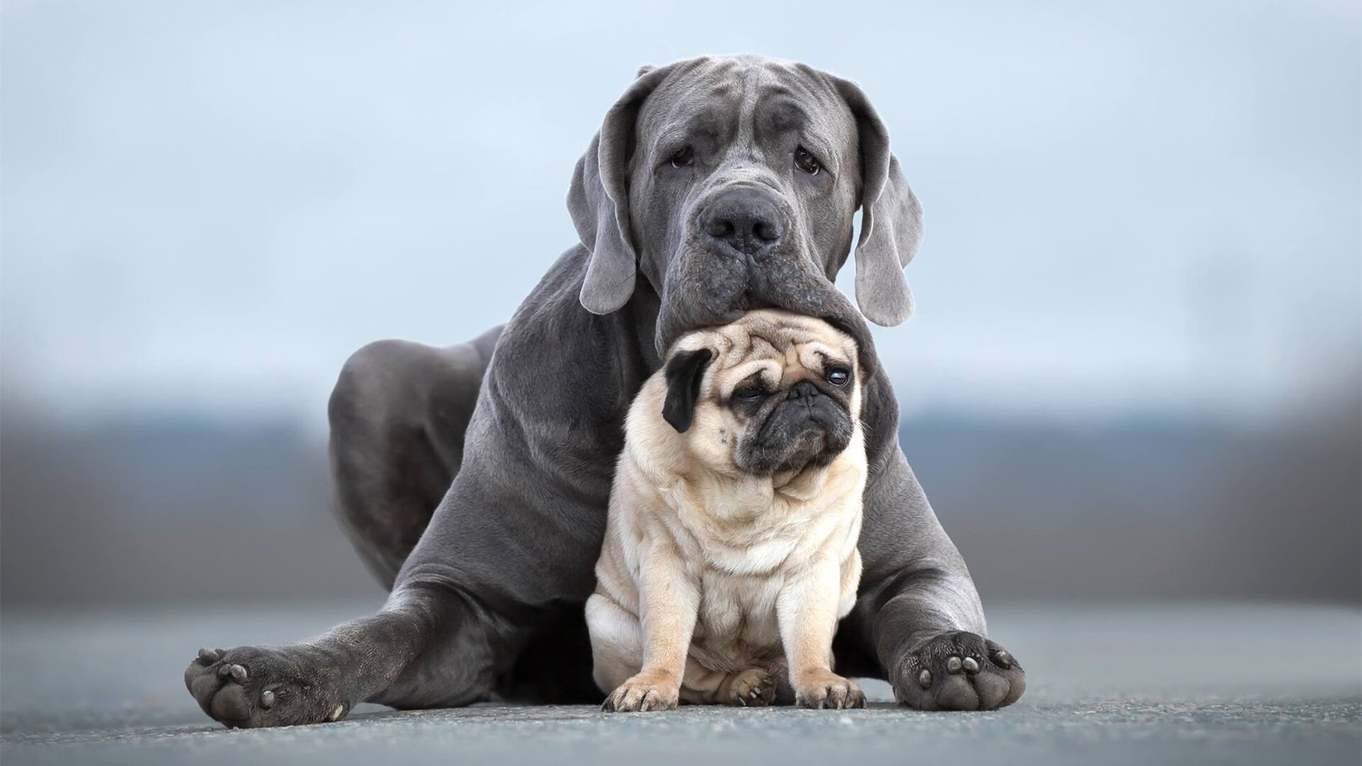 东决关键战之夜,金玟哉如金刚锁链,锁死对手冲击波