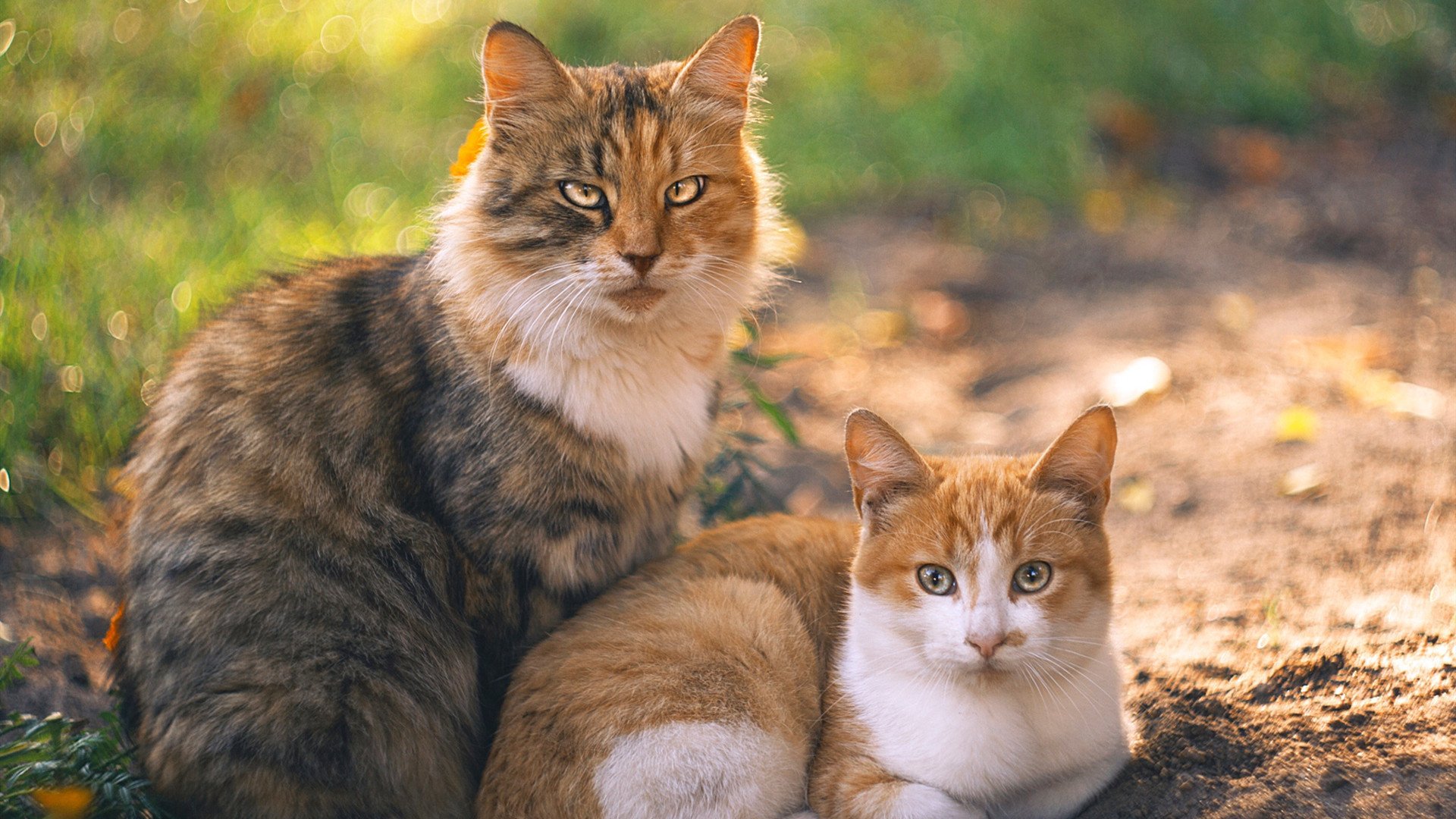 盾的两种形状，从巴拉圭锁死米兰，到门迪接管奥运关键战