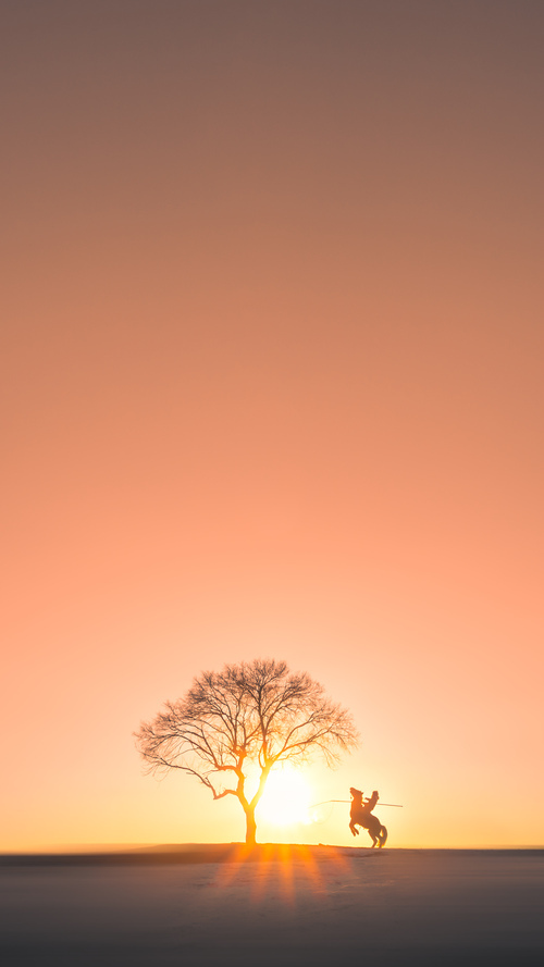 篮球骑士与足球库里,在不可能的交汇处点亮传奇