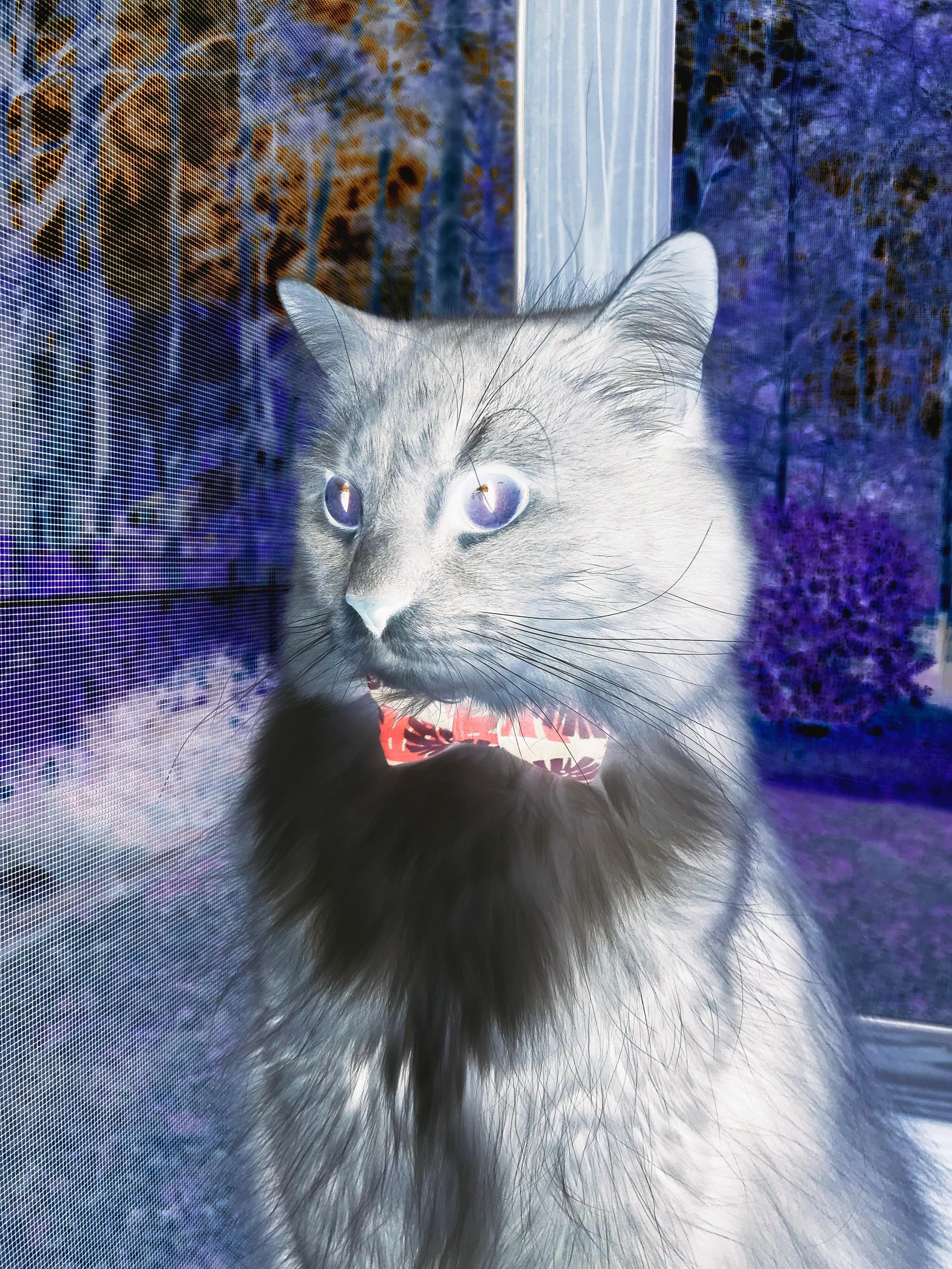 终场哨前的风暴，莱比锡红牛上演欧冠史上最戏剧性末节逆转，击碎勒沃库森奇迹