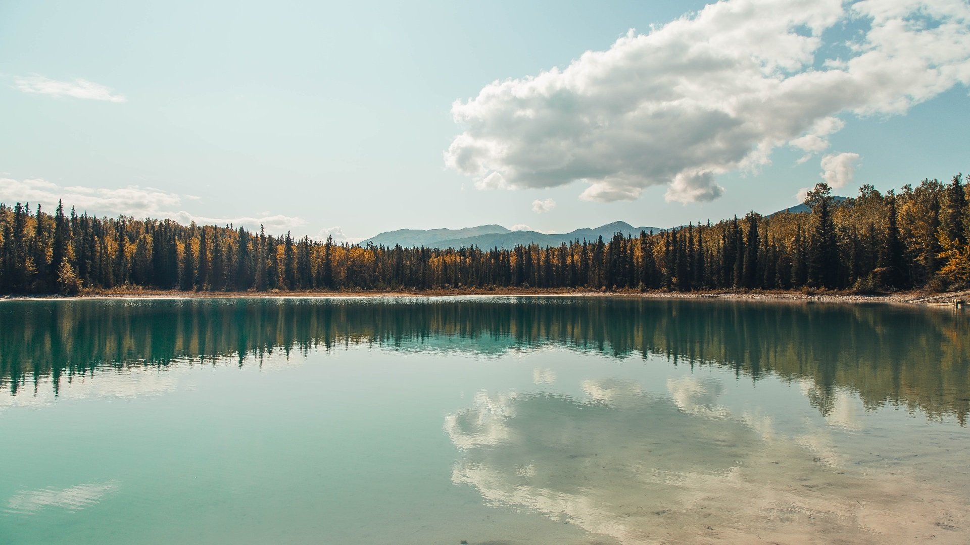 独舞与合奏,东契奇的狂想夜与骑士的沉稳诗篇