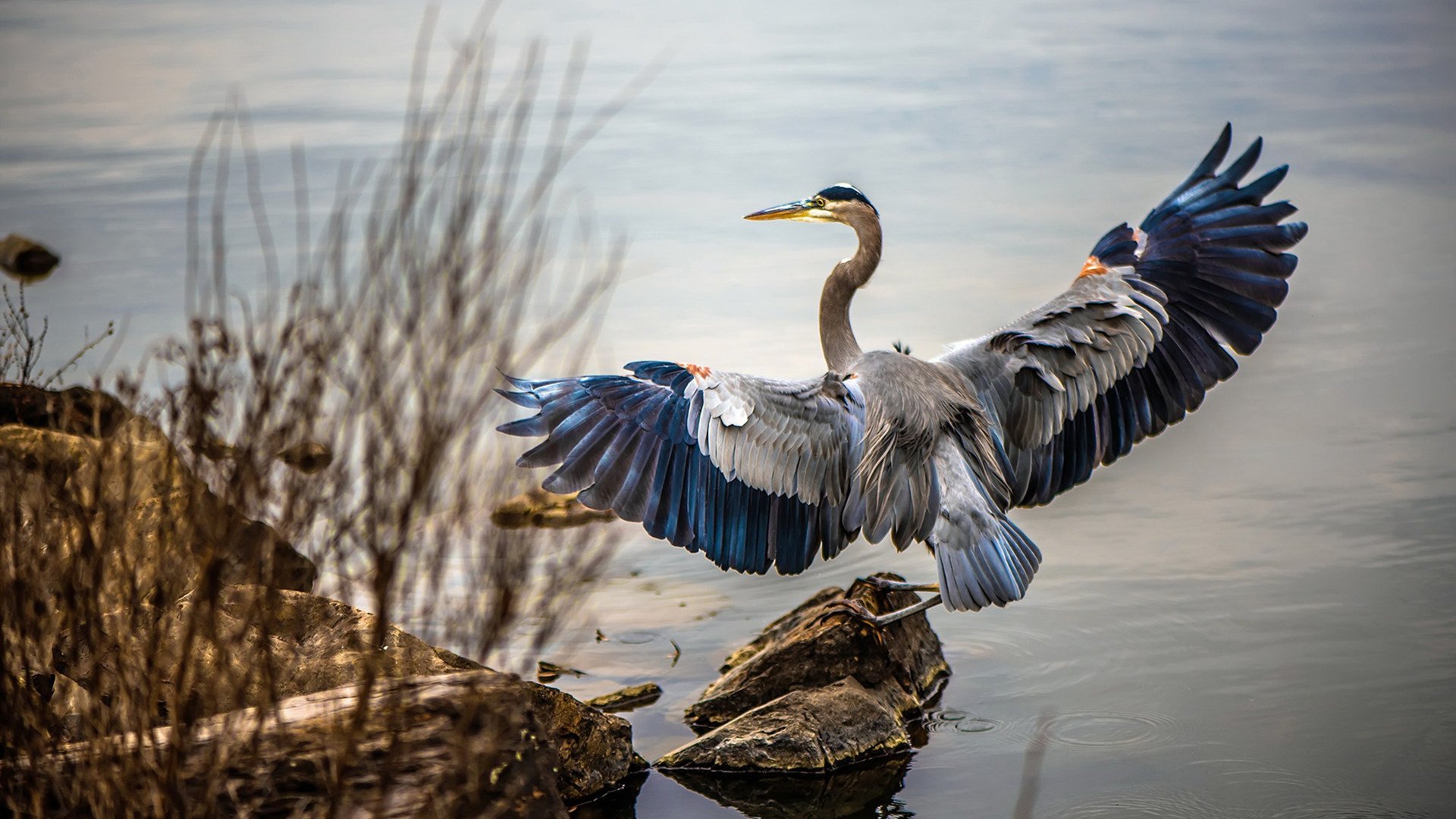 当足球巨星遇上沙漠雄鹰,亚洲体育的跨越式爆发