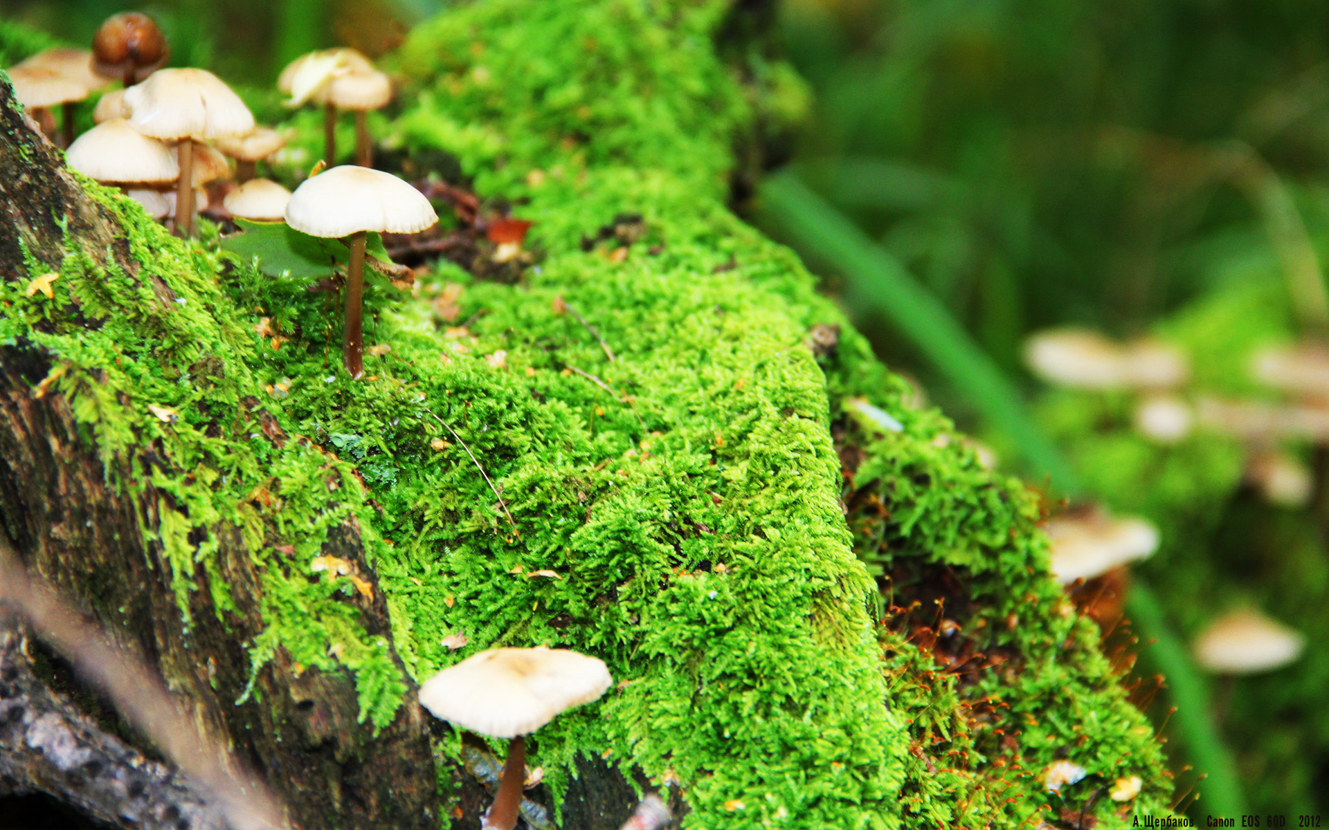 平行宇宙的冠军基因，小贾伦式防守与上海队的硬仗蜕变