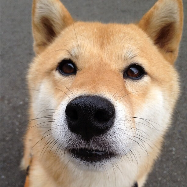 费城淬火之夜,76人血拼骑士,年度焦点之战的淬火锻造