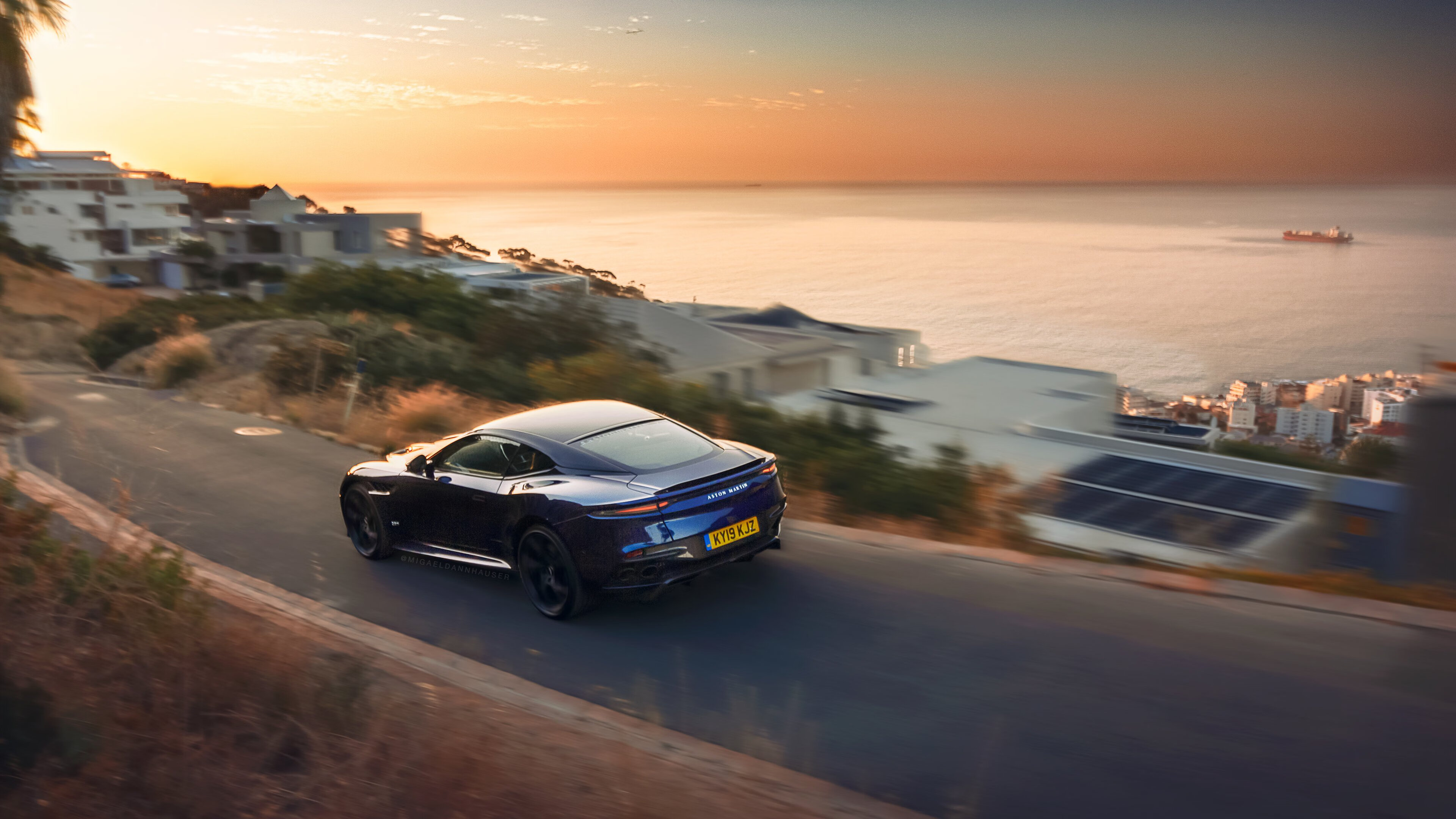 紫百合的博弈艺术，当莱奥在铜墙铁壁中画下金线