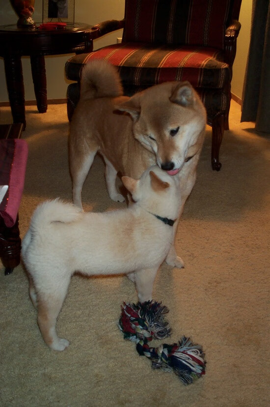 暗夜、引擎、星辰,伊萨克在F1揭幕战的封神之夜